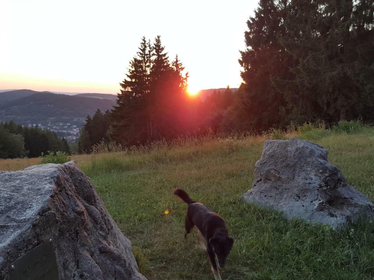 Ferienhaus Am Kirchberg Kurort Steinbach-Hallenberg Bagian luar foto