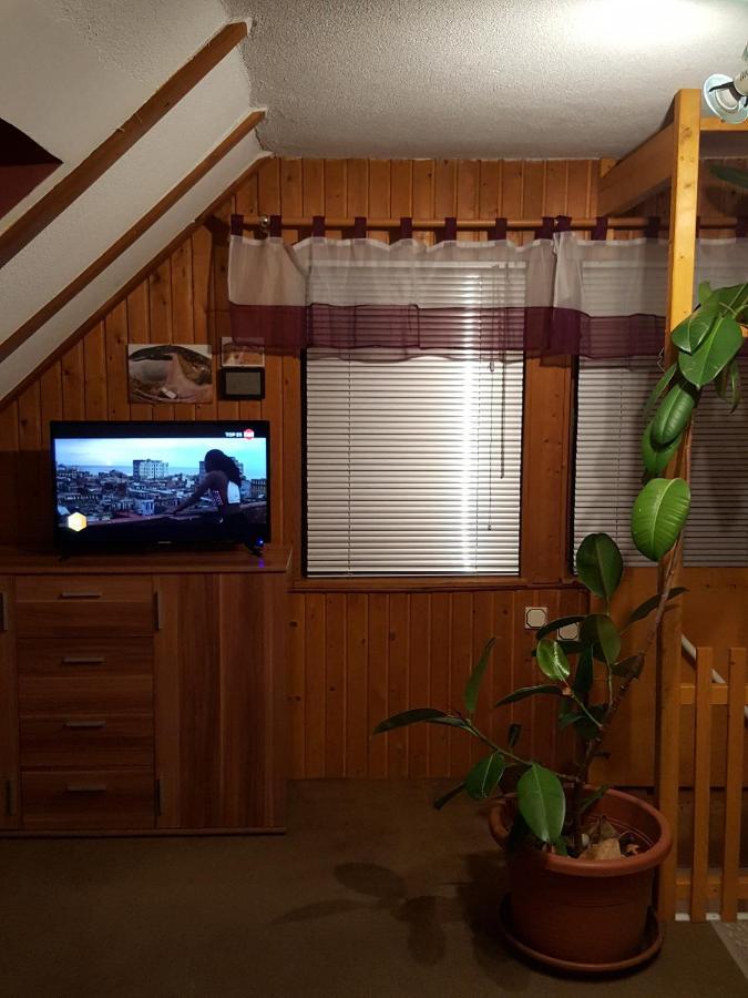 Ferienhaus Am Kirchberg Kurort Steinbach-Hallenberg Bagian luar foto