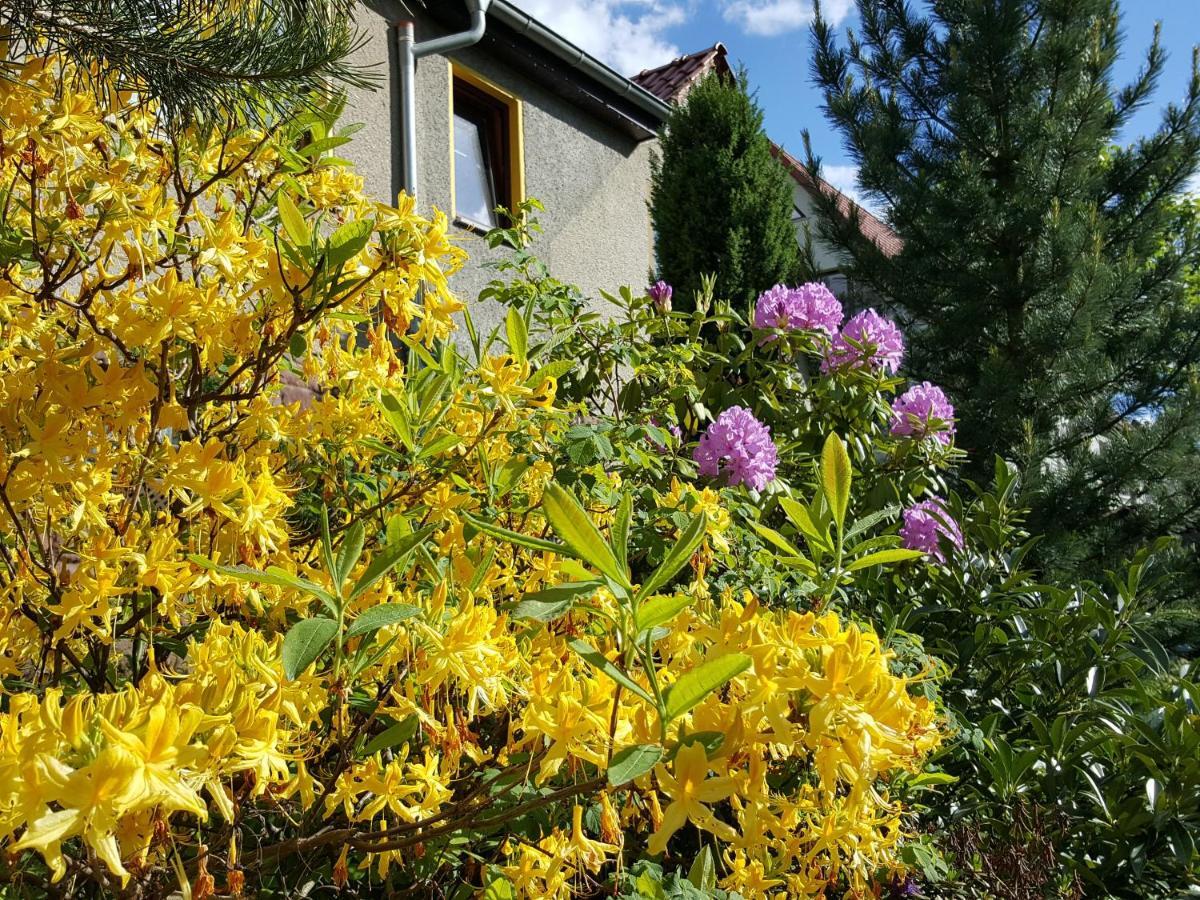 Ferienhaus Am Kirchberg Kurort Steinbach-Hallenberg Bagian luar foto