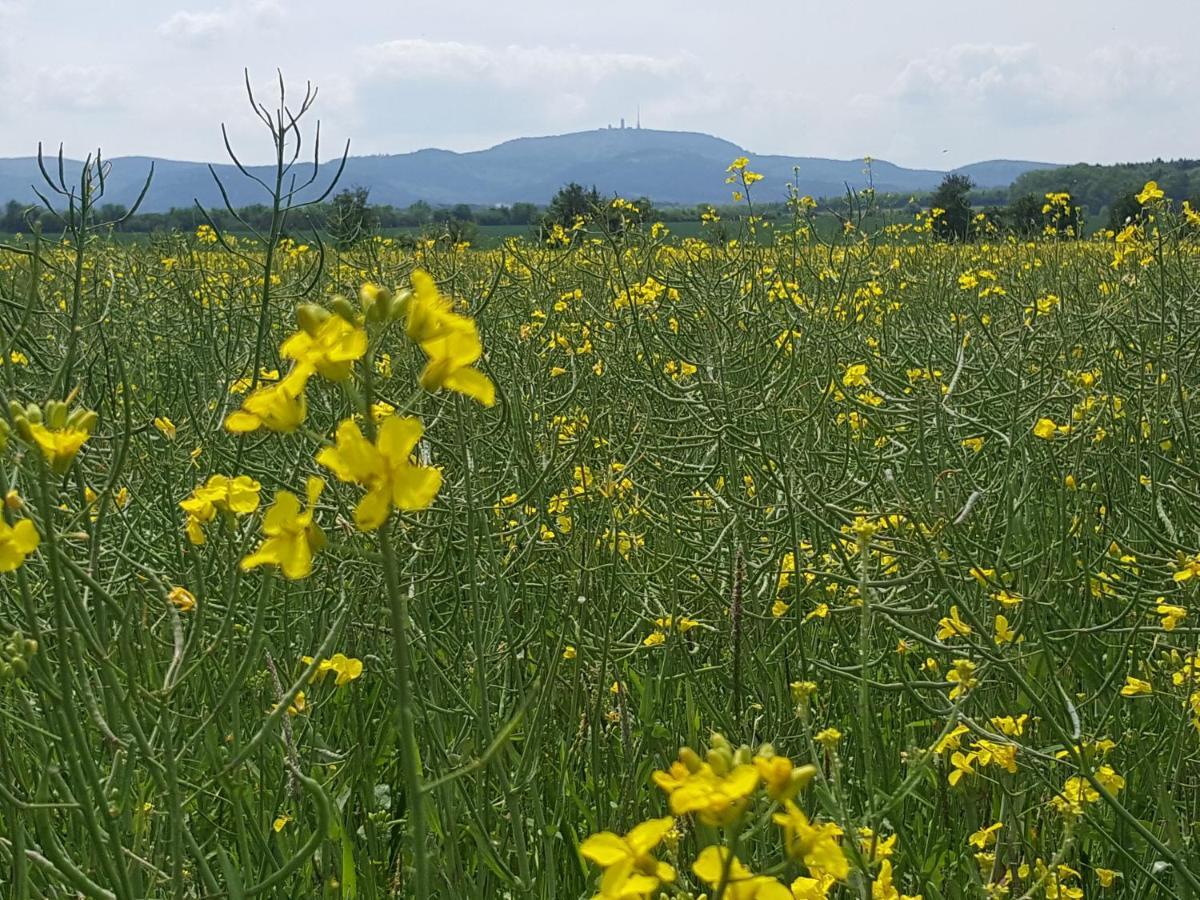 Ferienhaus Am Kirchberg Kurort Steinbach-Hallenberg Bagian luar foto